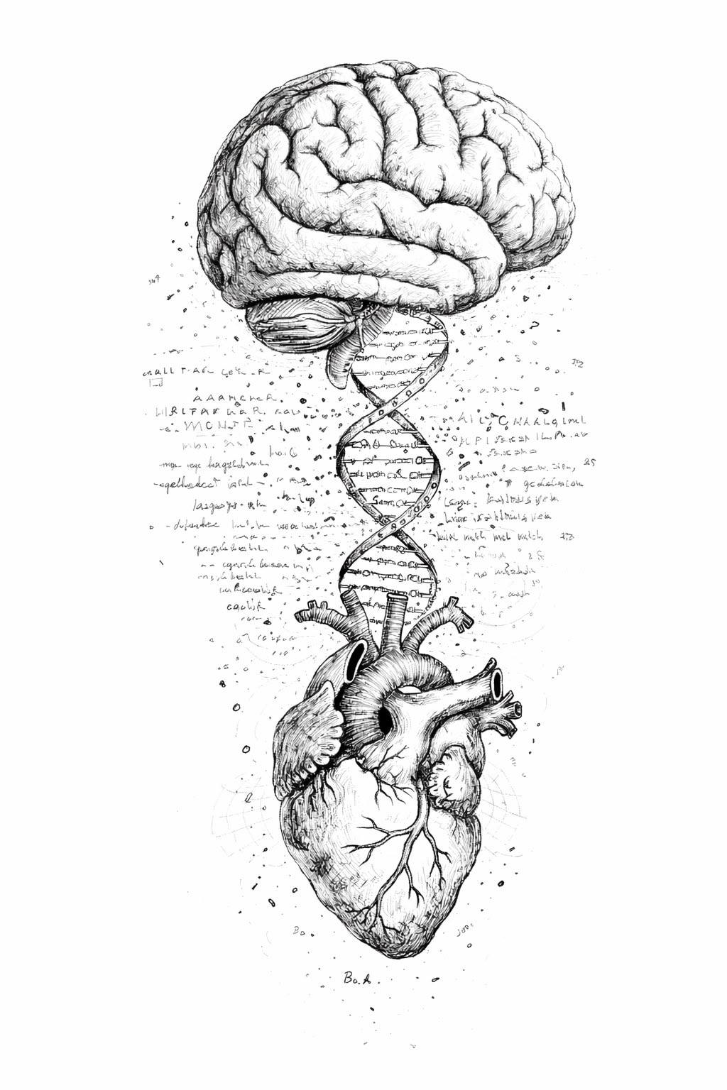 traumatherapie-brugge-online